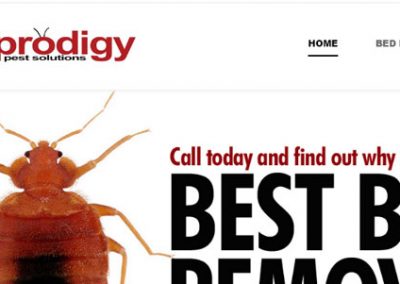 Prodigy Pest Solutions