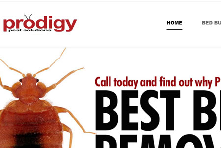 Prodigy Pest Solutions